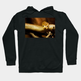 Tempter Hoodie